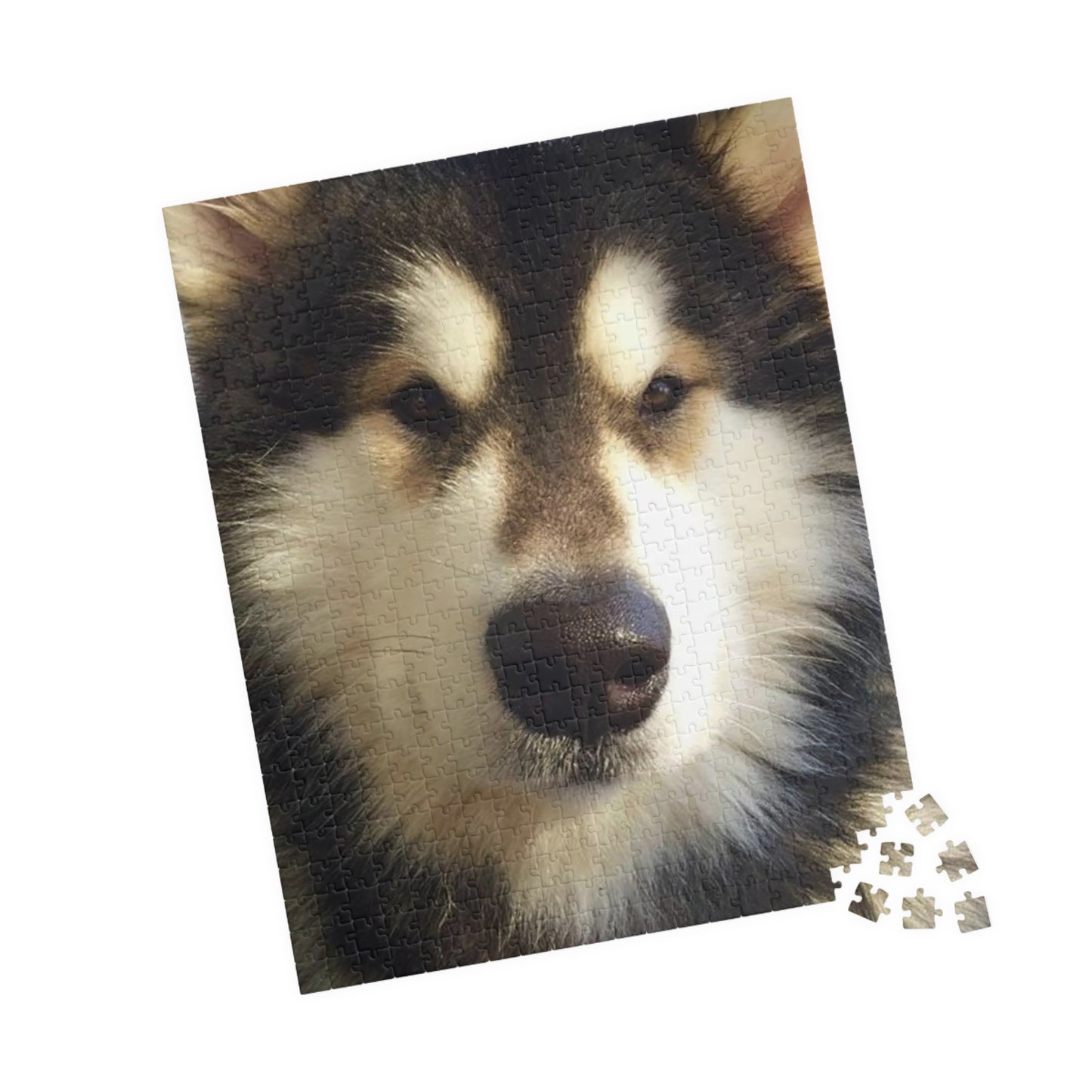 Becha Alaskan Malamute Puzzle (110, 252, 500, 1014-piece)