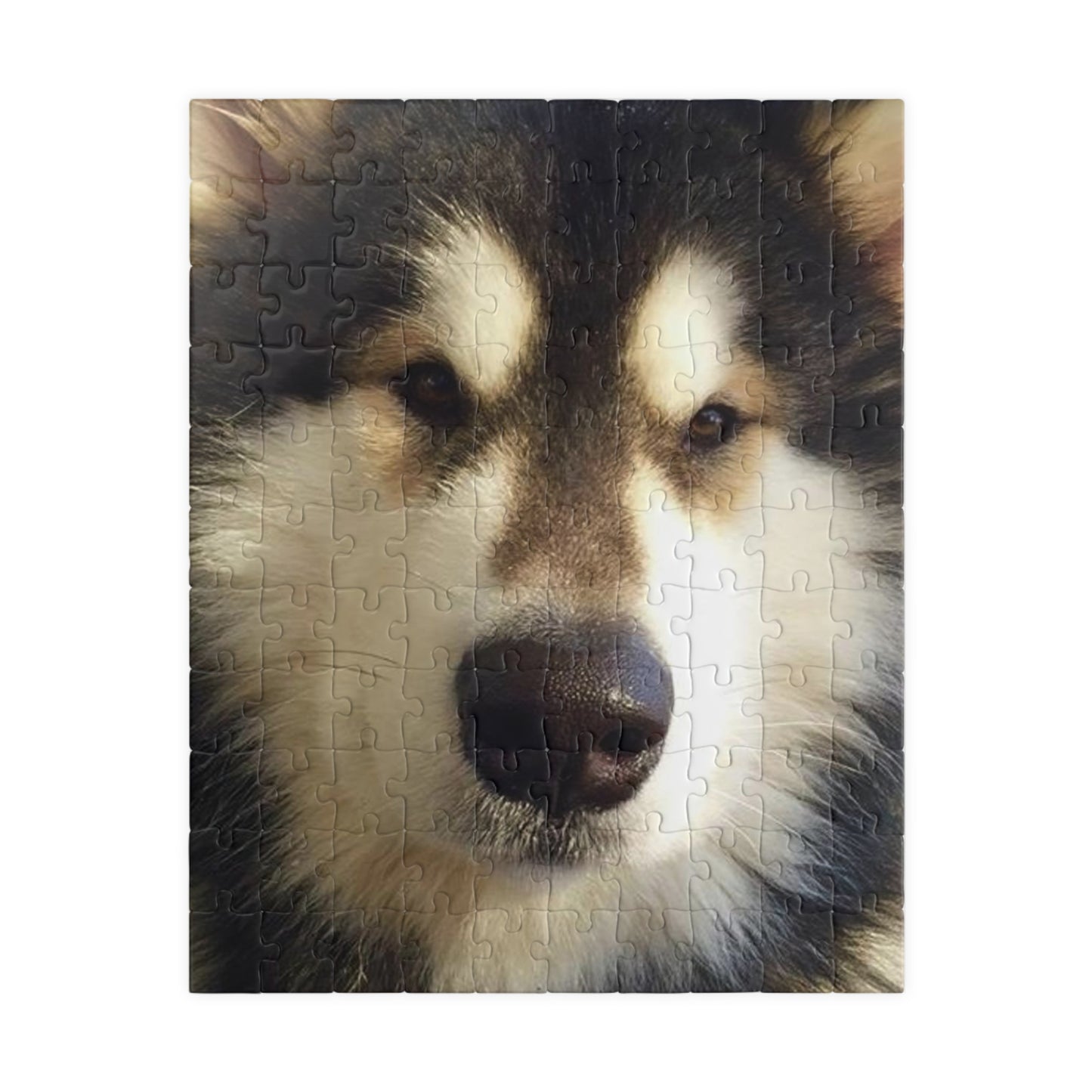 Becha Alaskan Malamute Puzzle (110, 252, 500, 1014-piece)