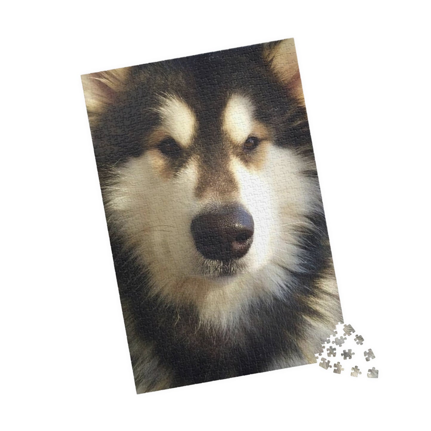 Becha Alaskan Malamute Puzzle (110, 252, 500, 1014-piece)