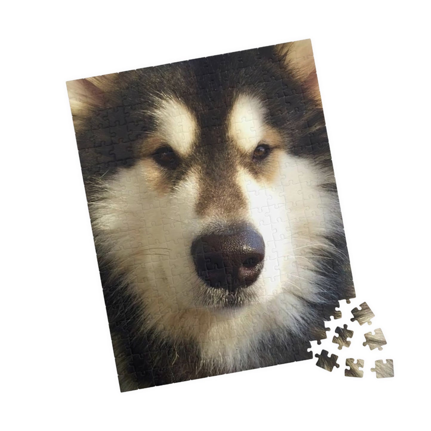 Becha Alaskan Malamute Puzzle (110, 252, 500, 1014-piece)