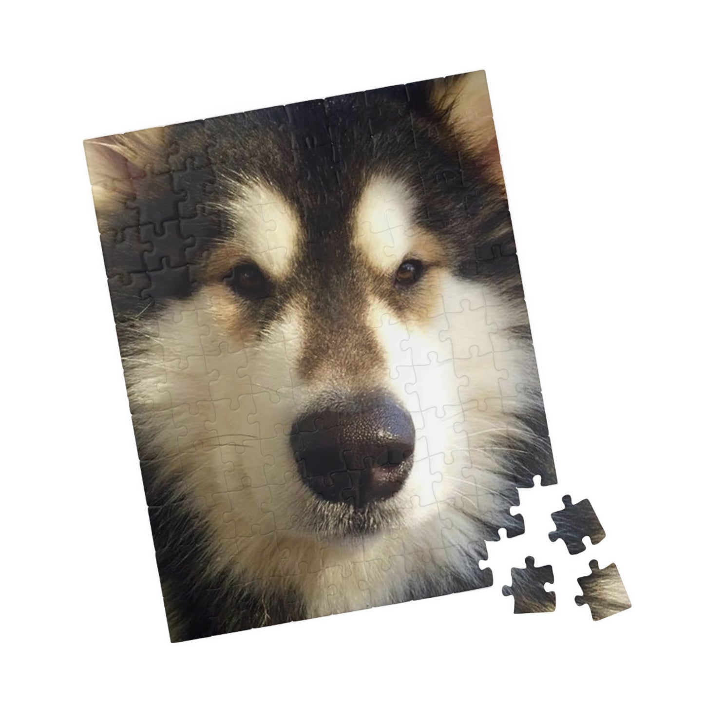 Becha Alaskan Malamute Puzzle (110, 252, 500, 1014-piece)